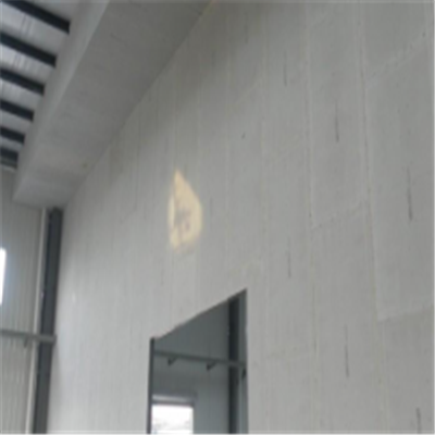 二七宁波ALC板|EPS加气板隔墙与混凝土整浇联接的实验研讨